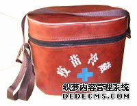 便携冷藏包