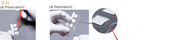 Microbial Preservation Plates