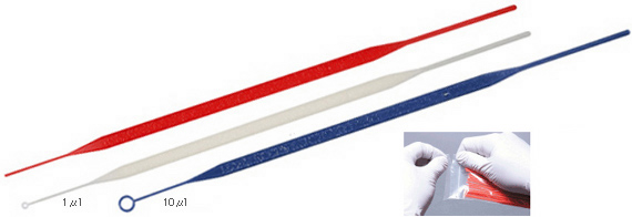 Disposable Loop / Needle