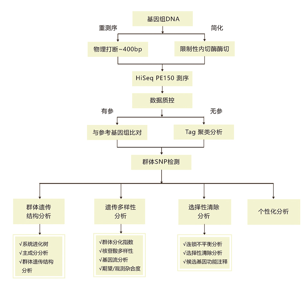 群体进化技术路线.jpg