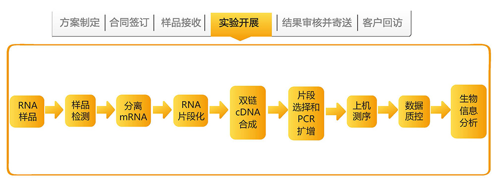 转录组测序技术路线.jpg