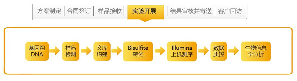 全基因组甲基化测序技术路线.jpg